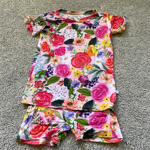 Posh Peanut Other - Posh Peanut